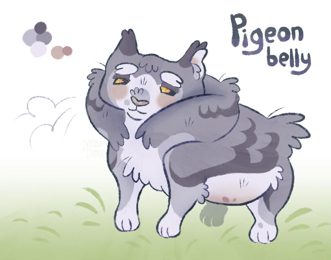 Pigeonbelly ref